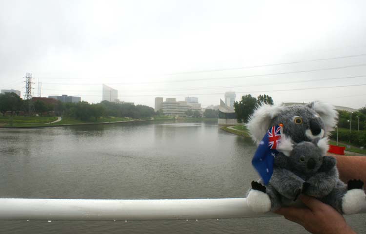 Wichita Arkansas River View
