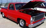 79 Chevy SNB Pickup